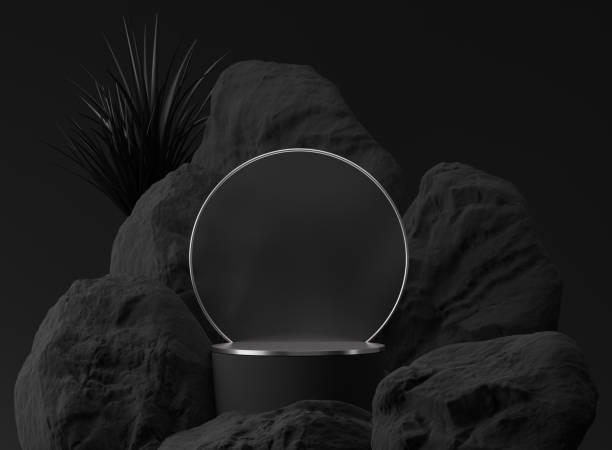 istock 3D black palm,stone, rock podium display. Copy space circle  background. Cosmetics or beauty product promotion mockup.  Natural rough silver grey,  step pedestal. Trendy minimalist banner, 3D render 1291199296