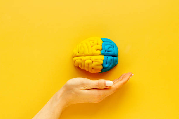 istock Idea concept. Use your brain. Model of clay in the hand, top view 1291202641