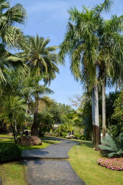 istock way in nature garden 1291202938