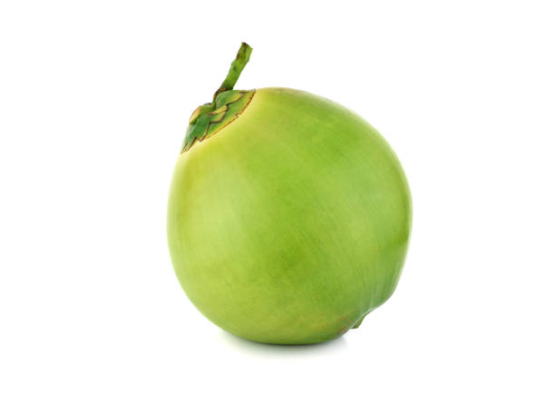 Green Coconut Stock Photos, Pictures & Royalty-Free Images - iStock Green Coconut Stock Photos, Pictures & Royalty-Free Images - iStock