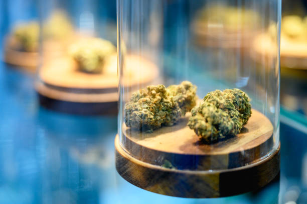 Medical cannabis Dry and trimmed cannabis buds, stored in a glass jars, medical cannabis, Nikon Z7 medical cannabis stock pictures, royalty-free photos & images