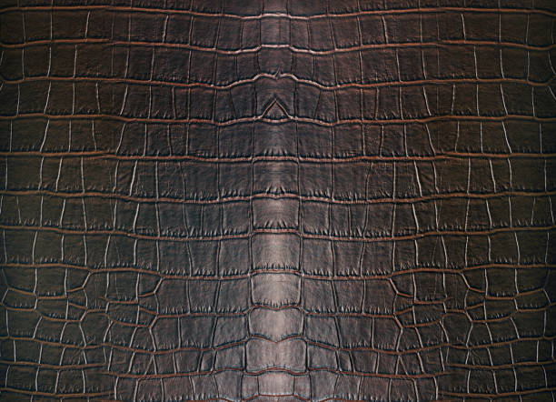istock Crocodile Leather or Crocodile Skin animals alligator 1291219952