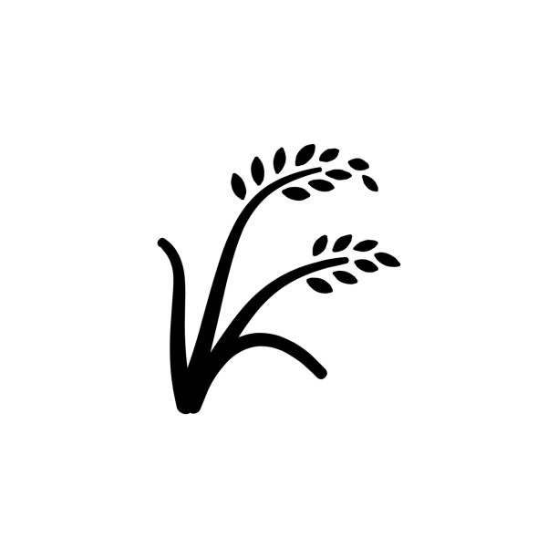 reis pflanze vektor-symbol. isolierte schere von reis, ernte, weizen flach emoji, emoticon symbol - vektor - wheat cereal plant oat crop stock-grafiken, -clipart, -cartoons und -symbole