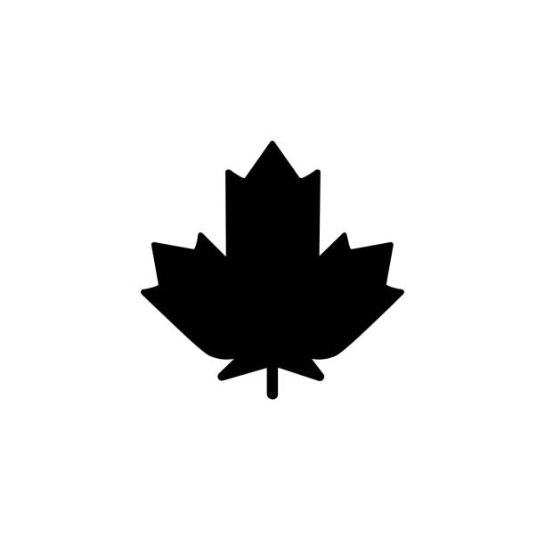 значок вектора кленового листа. изо�лированные канадские кленовый лист плоские смайлики, символ смайлика - вектор - maple leaf close up symbol autumn stock illustrations