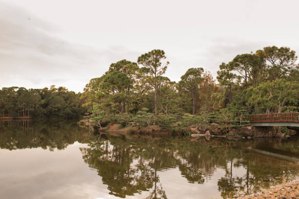 istock Green Trees Lakeside in a Nature 1291228616