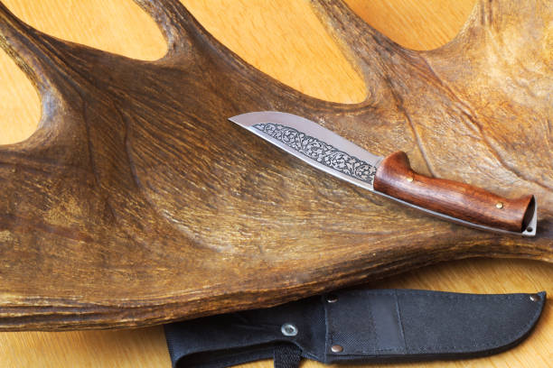 istock Hunting knife sheath and a trophy hunter - big elk horn. 1291229594