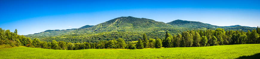 A lush green grazing pasture at the base of Burke Mountain in northern  Vermont with its distinct ski trails