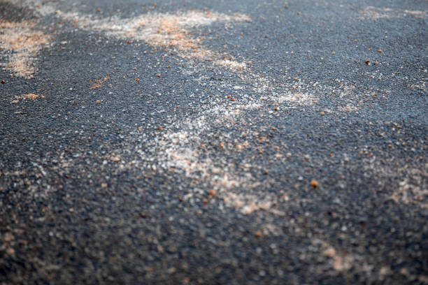 Sidewalk and carriageway sprinkled with salt. Urban environment and security.
