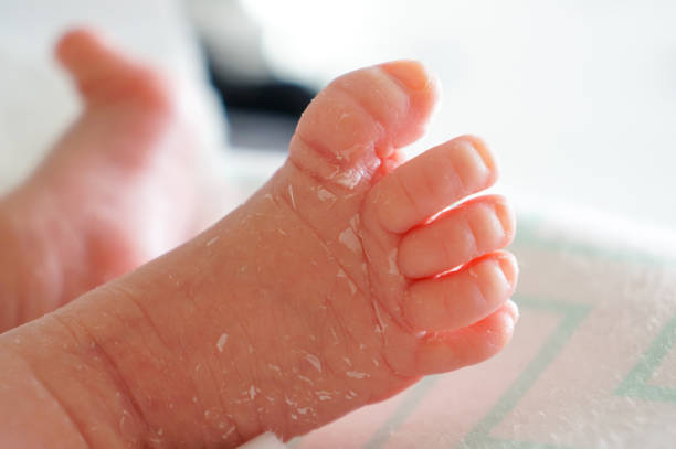 istock pink legs of a newborn 1291242220