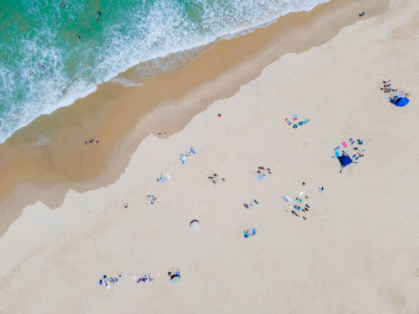 istock High angle view of people sunbathing on beach 1291243012