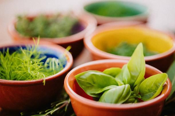 Different green herbs in bowls with focus on the basil