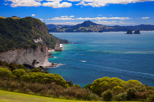 Looking out at Mercury Bay on the eastern coast of the Coromandel Peninsula on the North Island of New Zealand