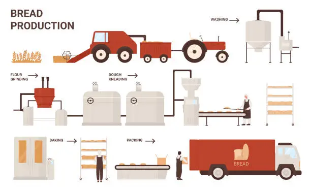 Vector illustration of Bread production process with automated processing line