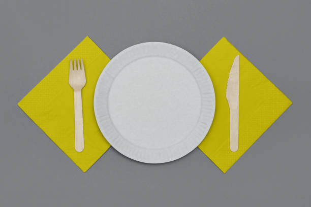 istock Eco friendly disposable tableware from natural material on gray background. 1291251960
