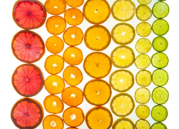 Citrus fruits arrangement in a row like grapefruit, oranges, tangerine, lemon, lime, clementine on white background with transparency