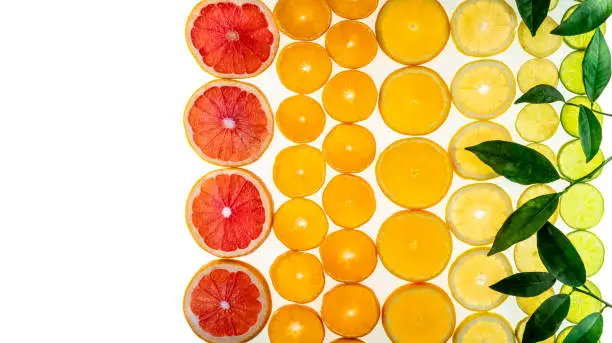 Citrus fruits arrangement in a row like grapefruit, oranges, tangerine, lemon, lime, clementine on white background with transparency and orange tree leaves