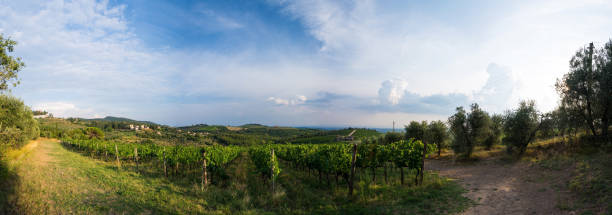 istock Landscape at the Tuscany, Italy 1291255960