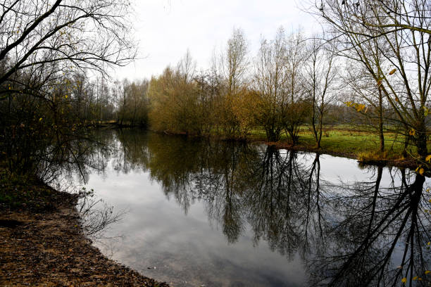 Schwalm-Nette Nature Park, Grefrath, North Rhine-Westphalia, Germany Grefrath, December 6, 2020 - The Niers in the Schwalm-Nette Nature Park, Grefrath, North Rhine-Westphalia, Germany grefrath stock pictures, royalty-free photos & images