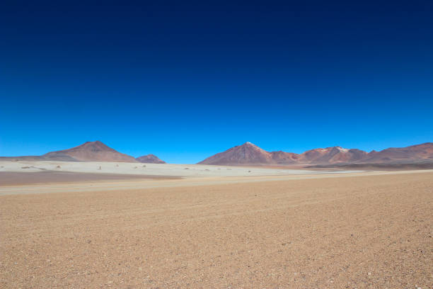 istock Altiplano landscape 1291259396