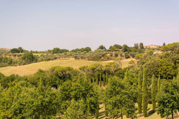 istock Landscape at the Tuscany, Italy 1291260001