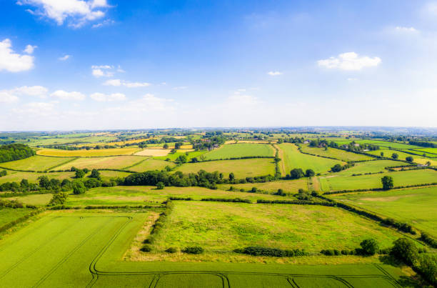 istock Rural English landscape in summer 1291261046