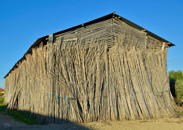 istock old tobacco farm, facade 1291262039