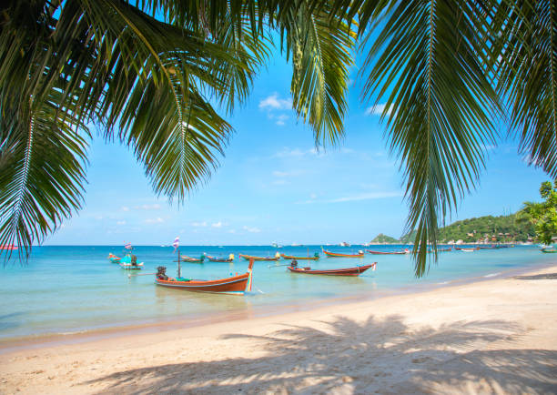 istock Tropical beach with coconut palm and longtail boat 1291262363