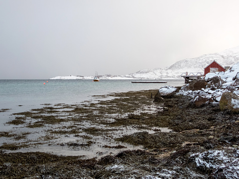 Landscape in wintertime in Sandneshamn on the island Kvaloya in Norway.