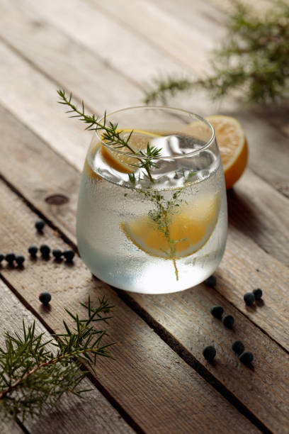istock Alcohol drink (gin tonic cocktail) with lemon, juniper branch, and ice on rustic wooden table. 1291272872