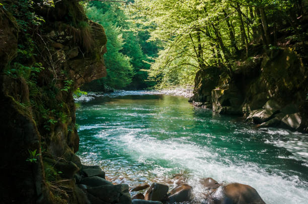 istock Blue Lagoon, mountain river among the rocks in the forest 1291273310