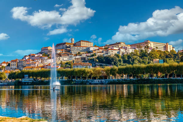 Coimbra. An athlete canoeing on the Mondego River Panoramic view of Coimbra. coimbra city stock pictures, royalty-free photos & images