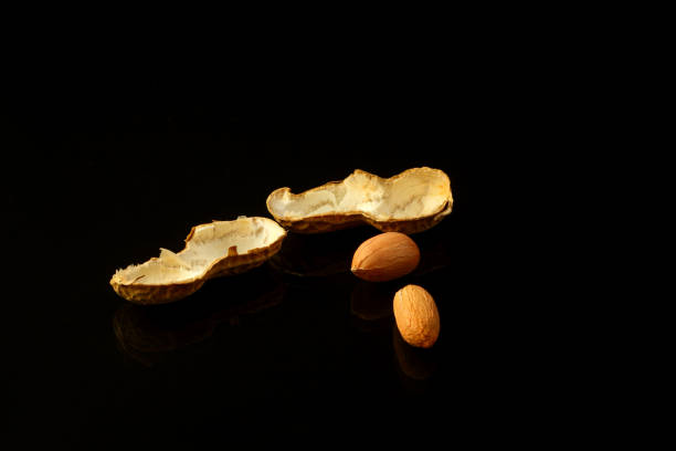 istock Peanut on glossy black surface with reflection. Group of peanuts isolated on black backgrounds 1291280937