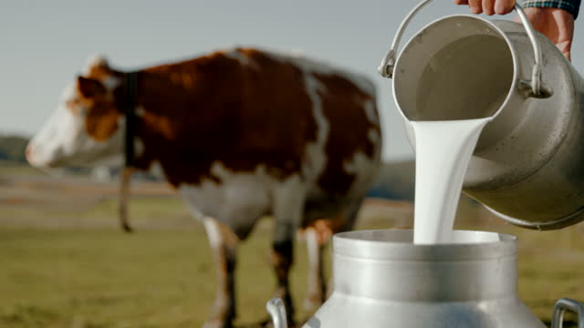 SLO MO Farmer pouring milk into the barrel