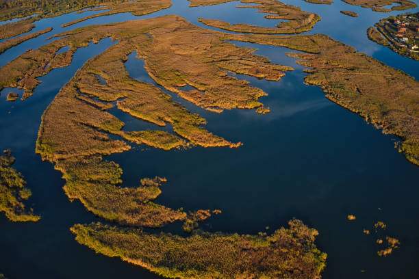 istock Irresistible floods on the Samara river on the dnieper in the evening light 1291285497