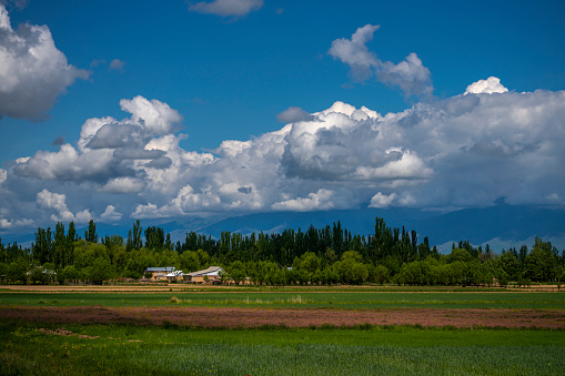 Several village houses on the plains of Karakol, Kyrgyzstan.