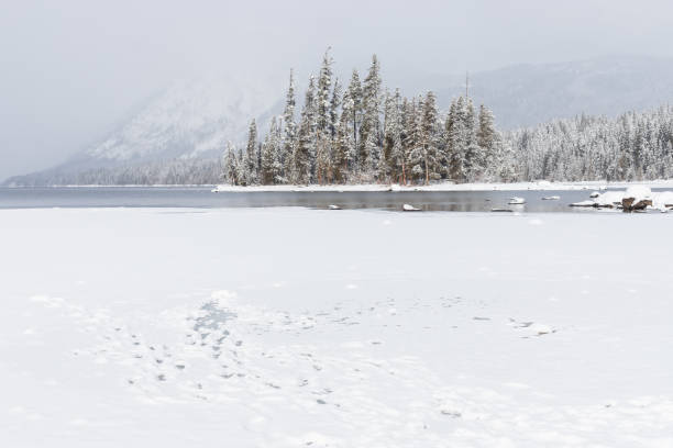 istock Frozen Mountain Lake Covered in Snow in Winter 1291286659