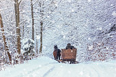 Winter landscape - view of the snowy road with with a horse sleigh in the winter mountain forest