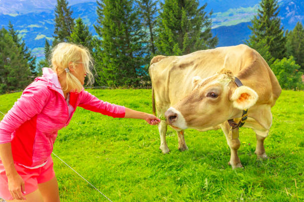 istock Woman with cow 1291296205