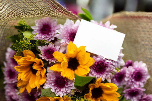 flowers with black background