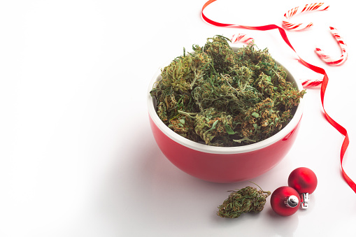 Celebrating Christmas with cannabis. A red bowl filled with cannabis buds surrounded by decorations and candy canes.
