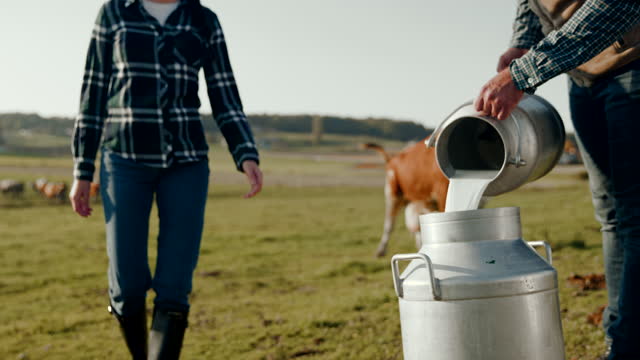 SLO MO Couple of farmers pouring milk into the barrel on the pasture