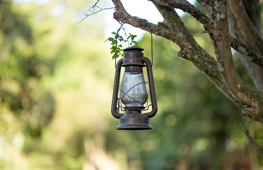 Old kerosene lamp hanging from a tree branch, with trees in the background.