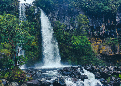 Pristine rainforest and waterfall in Lamington NP in south-east Queensland, Australia.