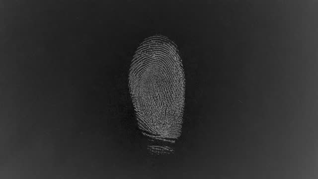Fingerprint Database Scan, Textured