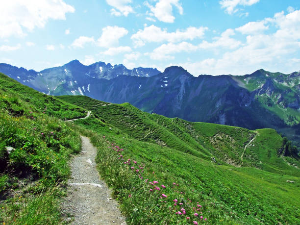 trilhas de caminhada e caminhada sobre o vale alpino malbuntal e na cordilheira dos alpes de liechtenstein - malbun, liechtenstein - liechtenstein - fotografias e filmes do acervo