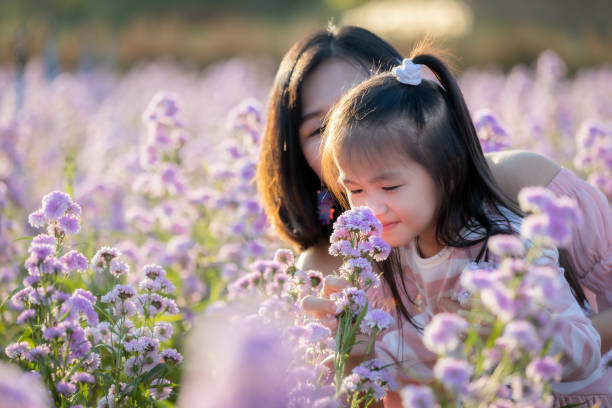 urocza azjatycka dziewczynka i jej matka ciesząc się pięknym kwiatem z zabawą razem w ogrodzie kwiatowym. - flower spring bouquet child zdjęcia i obrazy z banku zdjęć