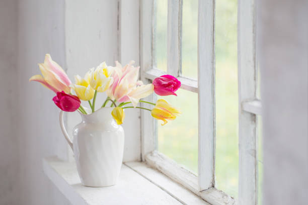 istock beautiful tulips in vase on white windowsill 1291328895