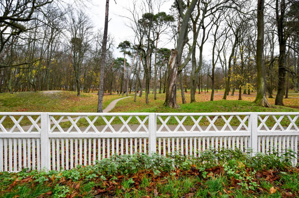 公共公園の緑の芝生の上の白いフェンス - picket line 写真 ストックフォトと画像