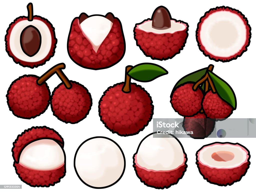 Lychee Section Various Lychees Stock Illustration - Download Image Now - Lychee, Berry ...