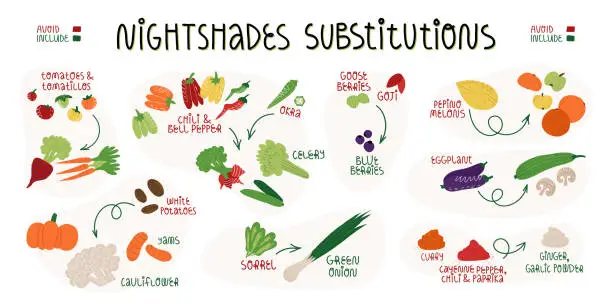 Vector illustration of Nightshades substitutions infographics banner. Vegetables, fruit and spices which is needed to be avoid on AIP, FODMAP diet, anti-inflammatory nutrition and what to include for it.